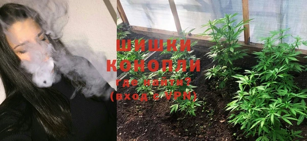 прущие крисы Надым