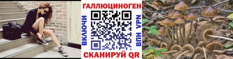 MEGA ONION  Кузнецк  Псилоцибиновые грибы MAGIC MUSHROOMS 